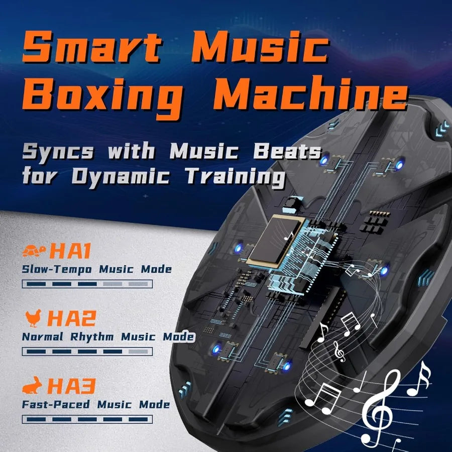 Interactive Music Boxing Machine for Adults and with LED Lights and Sound Effects WallMounted Punching Pad with Bluetooth Conne